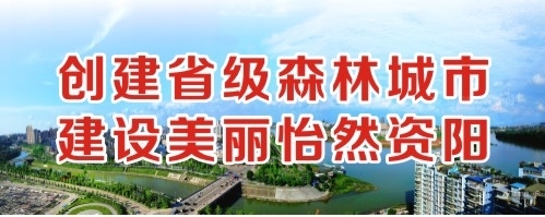 综合色站亚洲创建省级森林城市 建设美丽怡然资阳