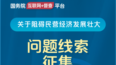 特大鸡吧插逼逼视频国务院“互联网+督查”平台公开征集阻碍民营经济发展壮大问题线索